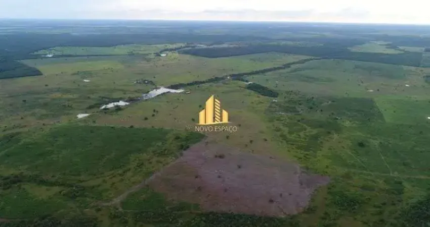Fazenda à venda em Zona Rural, Santa Rita do Tocantins 