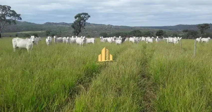 Fazenda à venda na Zona Rural, Joaquim Felício