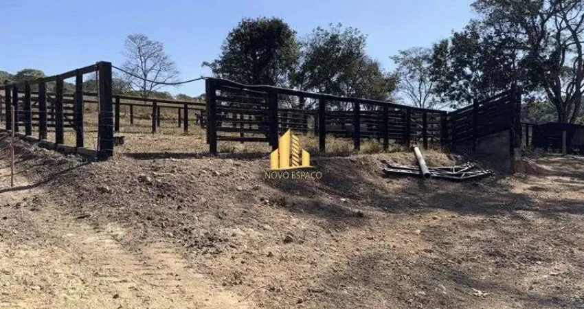 Fazenda à venda em salitre de minas – 97 hectares – excelente para plantio e pecuária