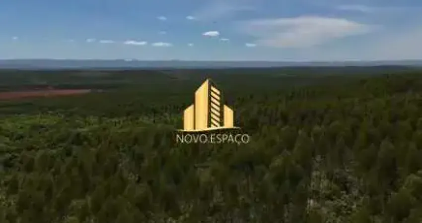 Fazenda de eucalipto, plantio e pecuária &#150; 2.630 hectares em minas gerais