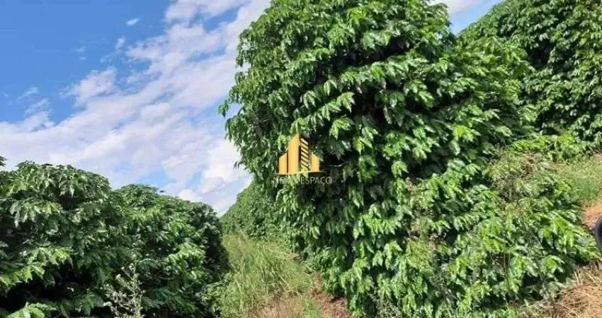 Fazenda à venda na Zona Rural, Campos Altos