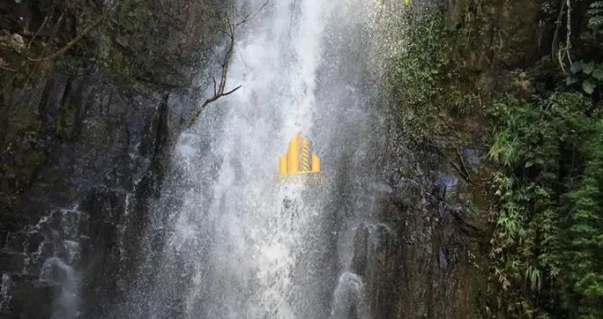 Venda! fazenda de 325 hectares em conquista/sacramento mg. 150ha plantando soja há 30 anos. duas cachoeiras para turismo