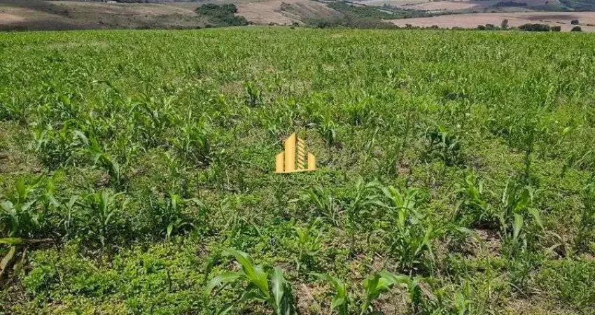 Fazenda produtiva à venda em ibiá - mg: 57 hectares, 45 ha de plantio, 1 km do asfalto