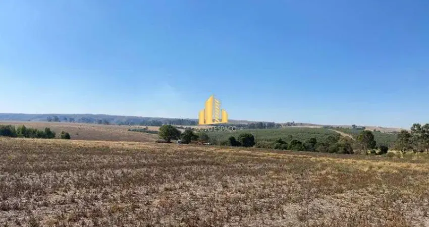Fazenda de 45 hectares em araxá/mg: seu investimento no café de altitude!