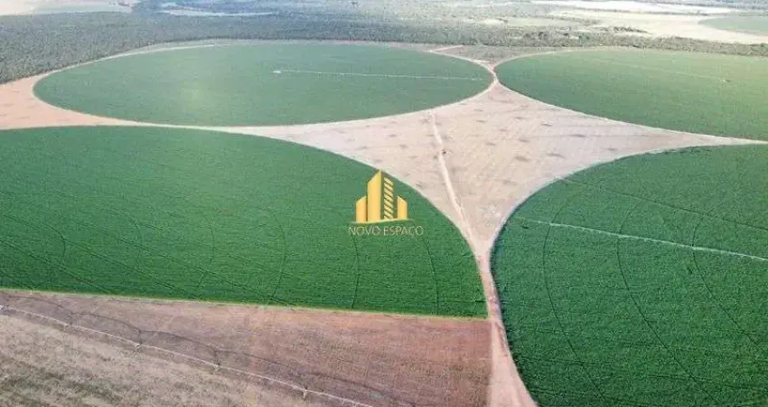Fazenda paracatu área total: 956 hectares sendo 6 pivô centra