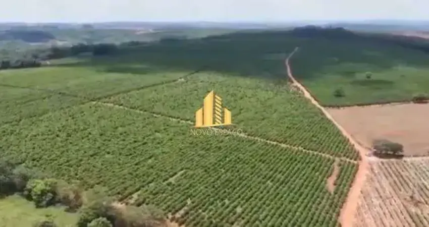 Fazenda à venda na Zona Rural, Monte Belo 