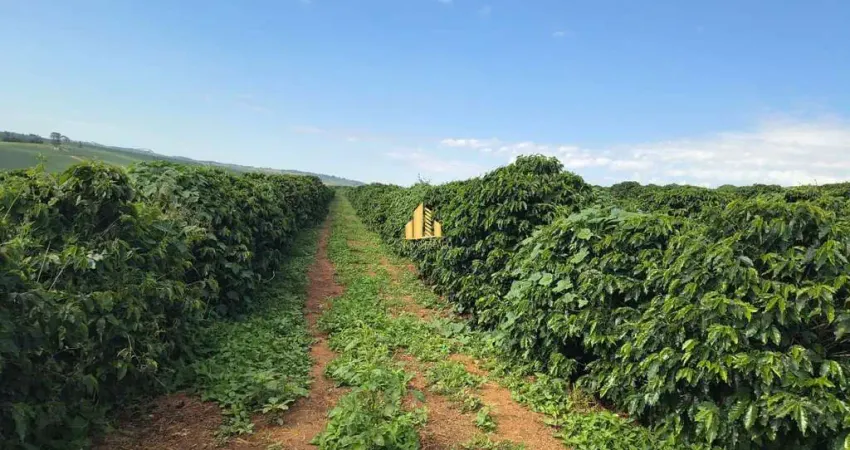 Fazenda à venda na Zona Rural, Ibiá