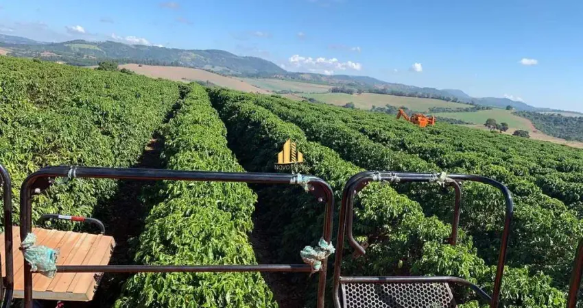 Fazenda à venda na Zona Rural, Piumhi