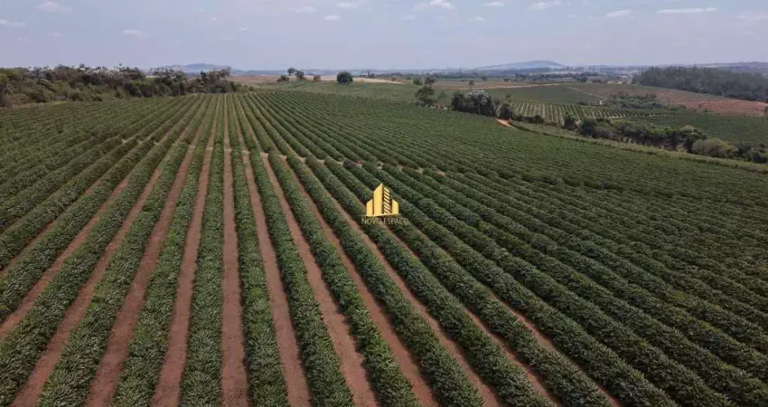 Fazenda 150ha em Elói Mendes - MG | Café Arábica e Laranja (100% Mecanizada)