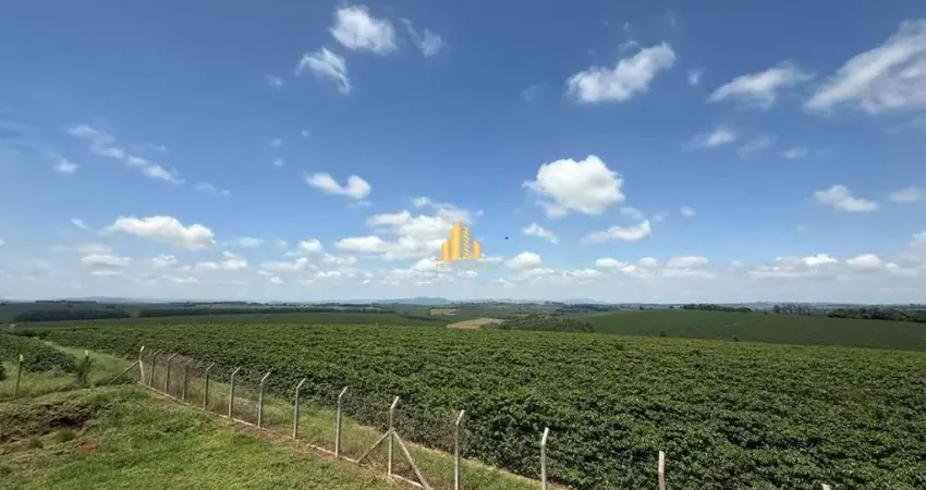 Fazenda cafeeira de grande porte à venda com mais de 500 hectares em café
