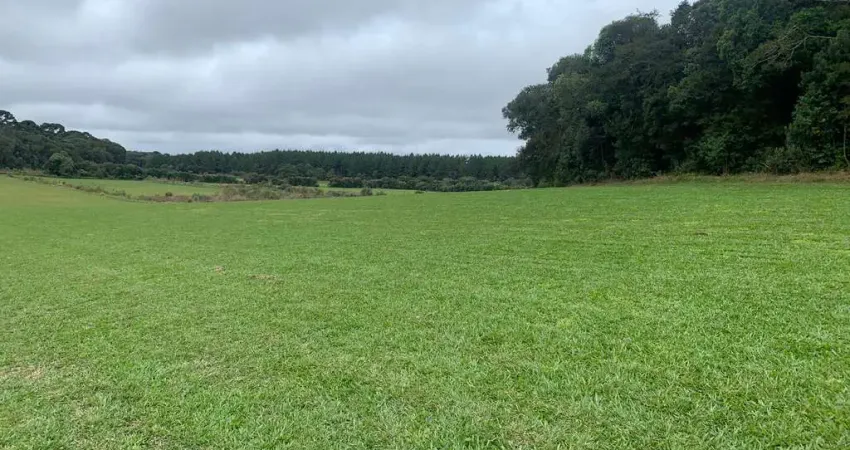Terreno maravilhoso no campo largo da roseira (são josé dos pinhais), pr
