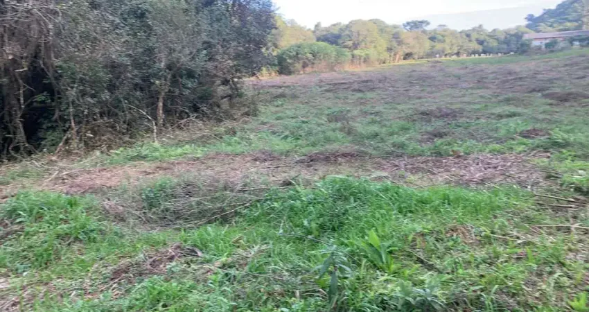 Venda ou troca , área rural de fazenda rio grande, fazenda rio grande, pr