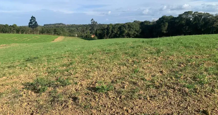 Terreno com 60 mil metros, campo largo da roseira, são josé dos pinhais, pr