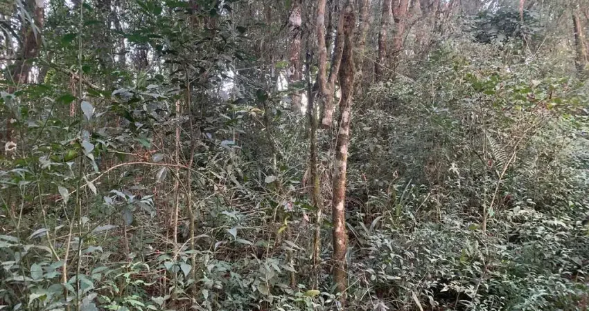 Terreno à venda, agarau, são josé dos pinhais, são josé dos pinhais, pr