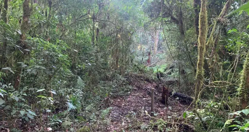 Terreno à venda, campestre da faxina, são josé dos pinhais, pr