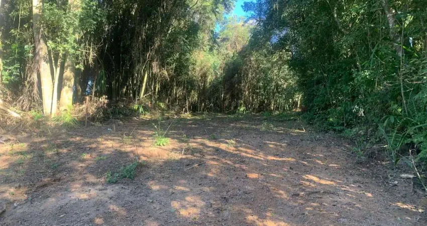 Terreno à venda, colonia marcelino, são josé dos pinhais, pr