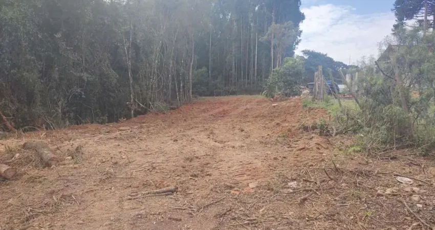 Terreno à venda, colonia marcelino, são josé dos pinhais, pr