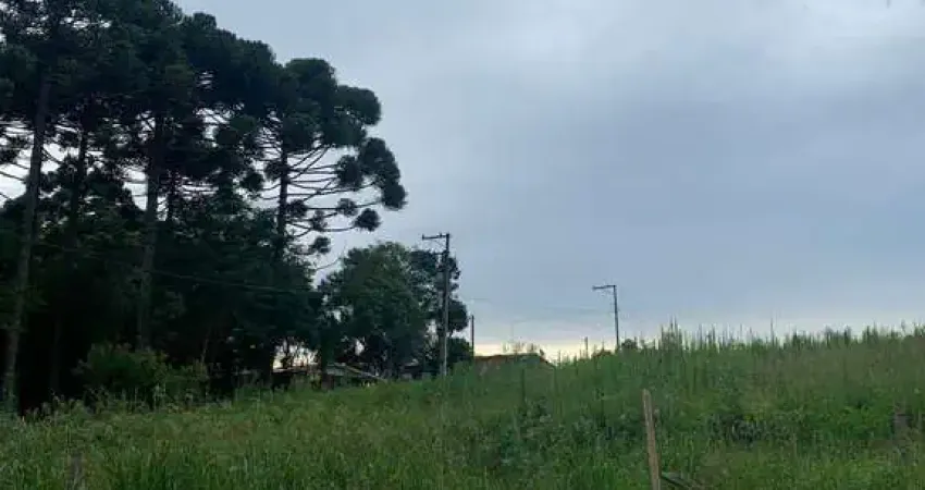 Chácara à venda, roseira do campo largo, são josé dos pinhais, pr