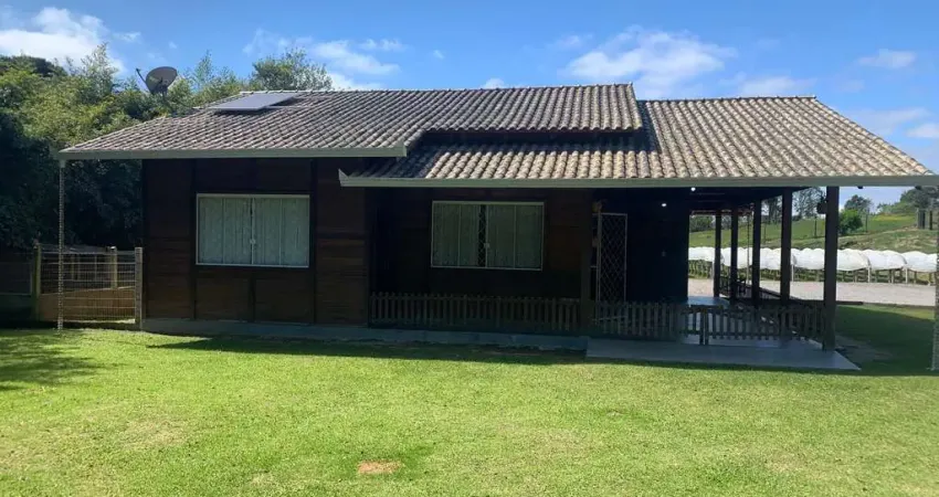 Chácara / sítio com 2 quartos à venda na Rua Vereador Domingos Benvenuto Moletta, Colônia Marcelino, São José dos Pinhais