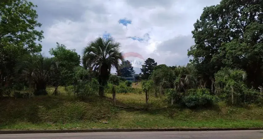 Terreno à venda no Aberta dos Morros, Porto Alegre