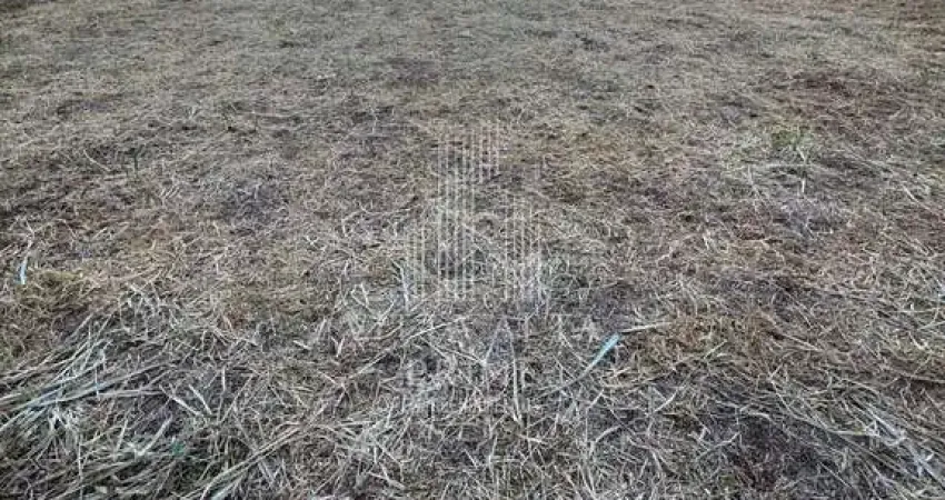 Terreno à venda no Parque Residencial Comendador Mançor Daud, São José do Rio Preto 