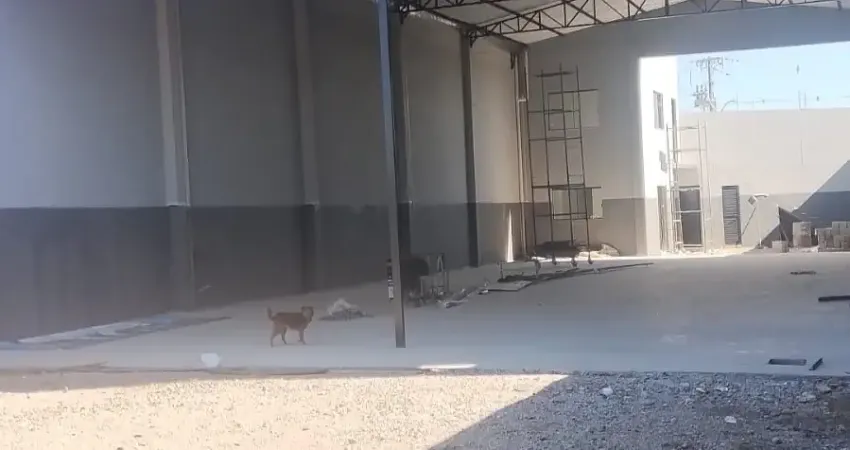 Barracão 400 m2 quississana são josé dos pinhais de frente para rodovia