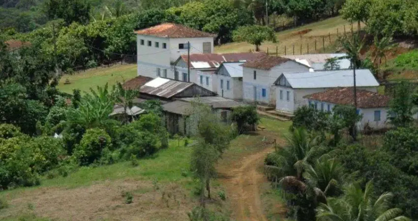Fazenda à venda na Zona Rural, Camamu