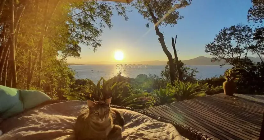 Terreno em condomínio fechado à venda na Servidão José Cardoso de Oliveira, Praia do Forte, Florianópolis