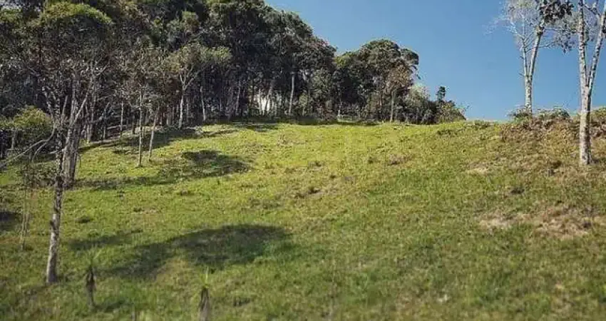 Terreno em condomínio fechado à venda em Varginha, Santo Amaro da Imperatriz 