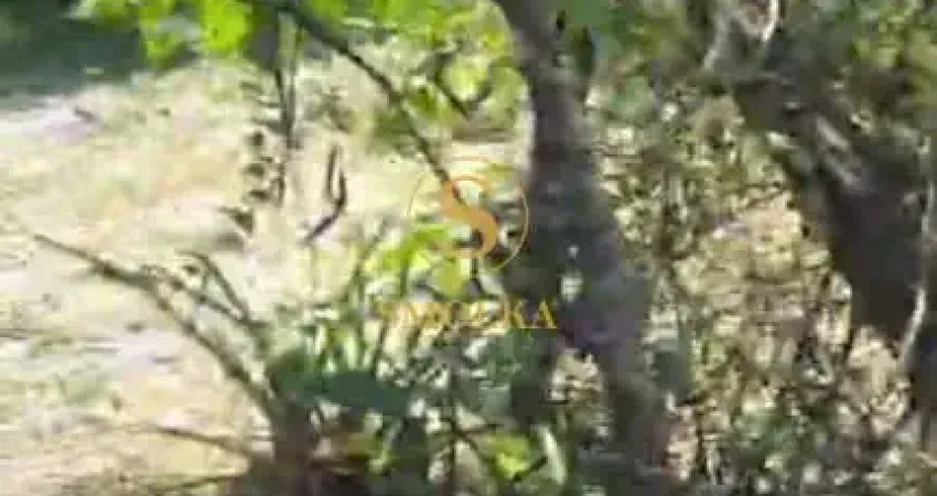 Terreno em condomínio fechado à venda na Servidão Biguá, Capoeiras, Florianópolis