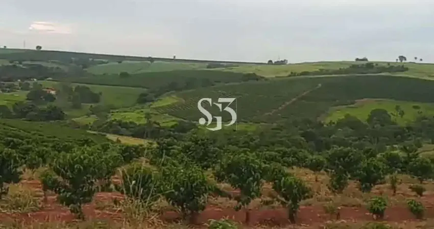 Fazenda à venda na Rua Senador Saraiva, Centro, São João da Boa Vista