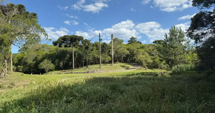 Chácara à venda em campina da contenda, são josé dos pinhais/pr