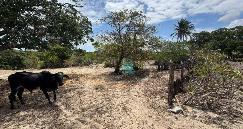 Terreno à venda, 196961 m² por r$ 460.000 - uruaú - beberibe/ce