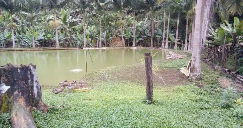 Lindo sítio juquiá, 55.000 m², capuava, casa, mina, pomar, 3 tanques, permuto