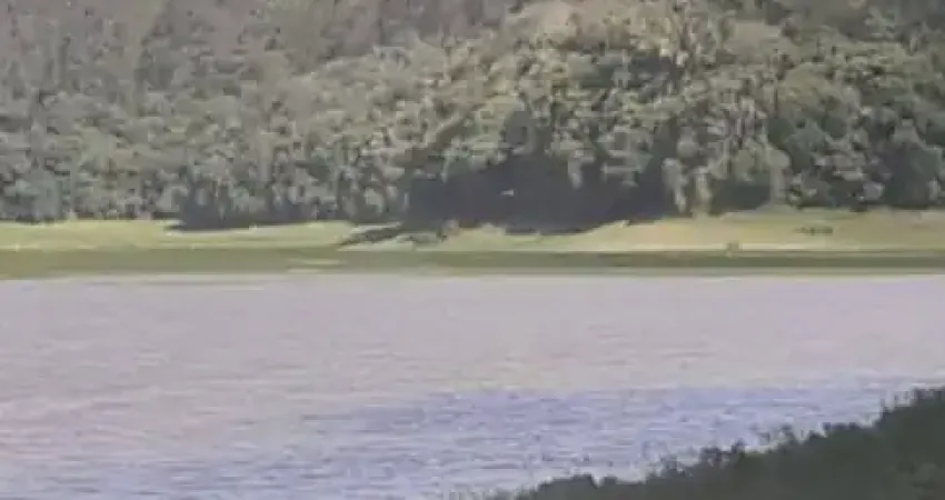 Linda chácara em tapiraí, 500 m², 400 mts asfalto, casa, água mina, energia, doc. ok.