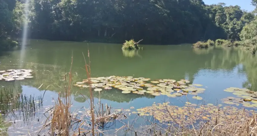 Lindo sítio são miguel, 2 alqueires, casa, lago gd., semi plano, próx. asfalto, sabesp, escritura