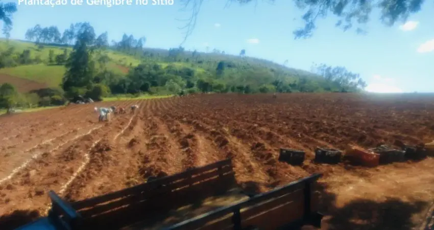 Lindo sítio em tapiraí sp, 3 alqueires, 1 km asfalto, 7 km turvo, riacho, lago, doc. ok