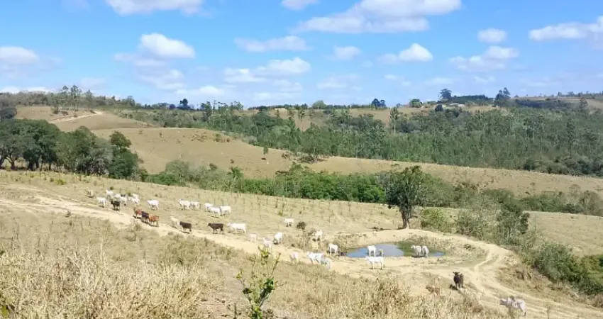 Lindo sítio sarapui, 37 alqueires, 22 alqueires abertos, escritura, permuto, facilito