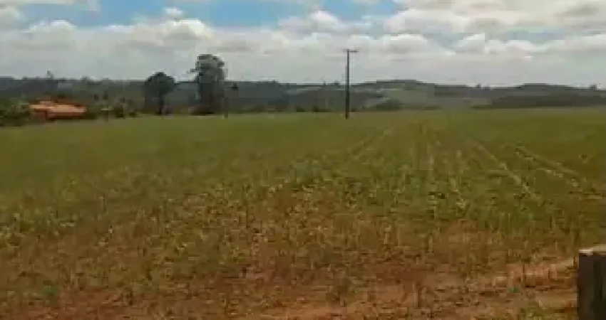 Lindo sítio sarapui, rio acima, 21 alq., casas, galpão, curral, permuto, facilito