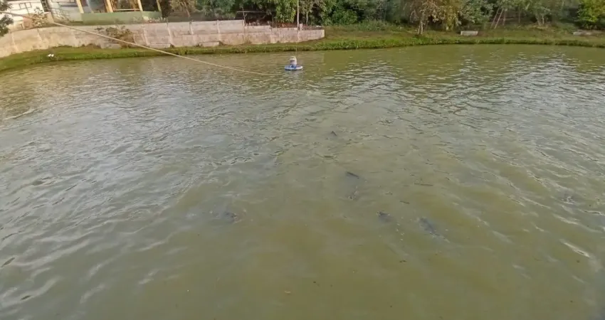 Lindo pesqueiro pilar do sul, 5.300 m², 4 tanques, 2 salões, permuto, facilito