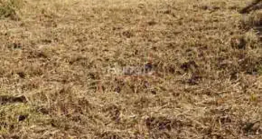 Terreno à venda na Rua Escorpião, Chácara Jaguari (Fazendinha), Santana de Parnaíba