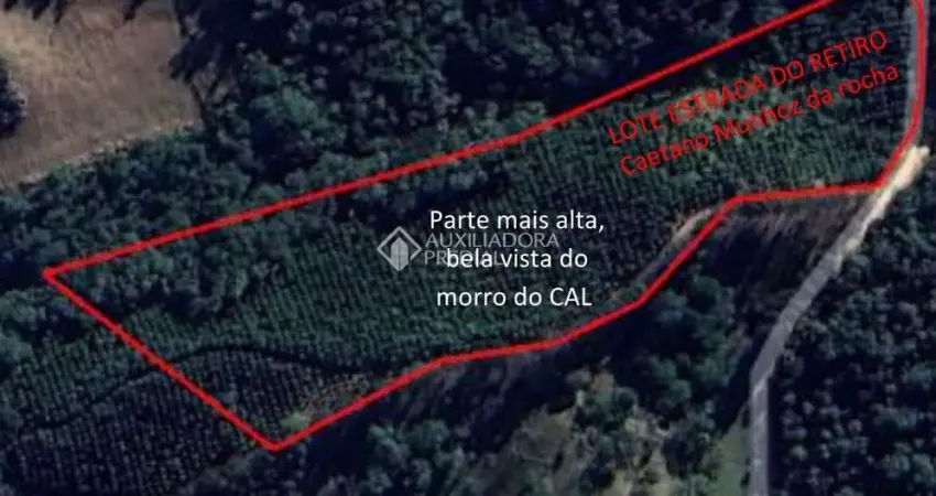 Terreno à venda na Rua Caetano Munhoz da Rocha, 55, Zona Rural, Campo Largo