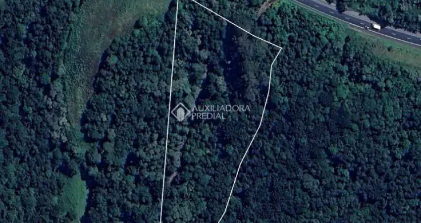 Terreno comercial à venda na Rodovia BR-277 Curitiba-Ponta Grossa, 125, Mossunguê, Curitiba