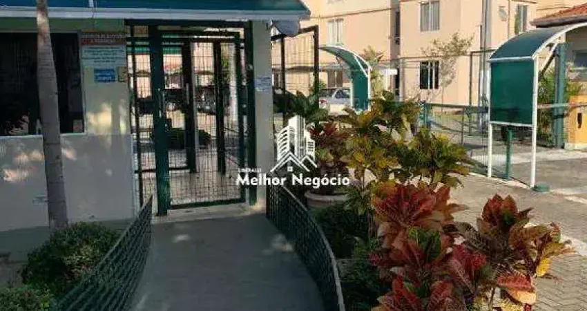 Apartamento à venda com 2 quartos no condomínio rossi ideal horizonte em campinas - sp