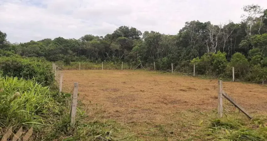 Terreno à venda na Praia do Ervino, São Francisco do Sul