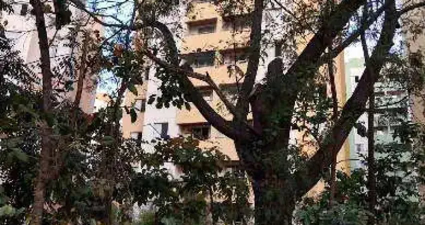 Apartamento para venda em são paulo, parque continental, 3 dormitórios, 1 banheiro, 1 vaga