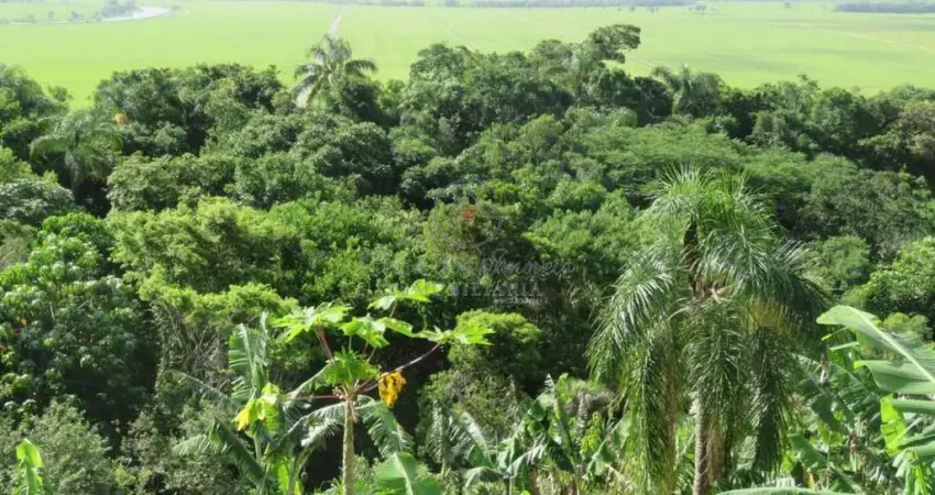 Casa com 1 quarto à venda no Sambaqui, Imbituba 