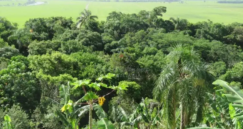 Casa com 1 quarto à venda no Sambaqui, Imbituba 