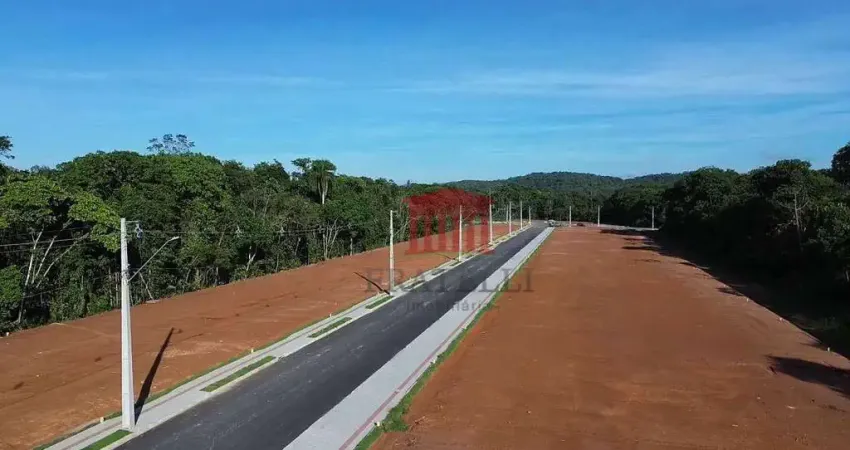 Terreno à venda, 245 m² por R$ 130.000,00 - Porto Grande - Araquari/SC