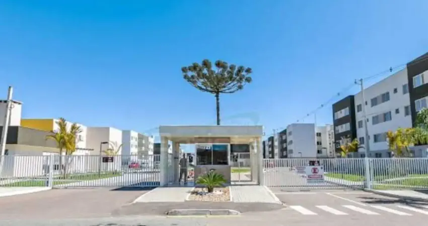 Imperdível! ótimo apartamento no residencial califórina em campo largo